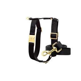 Lilo Leash & Harness Set