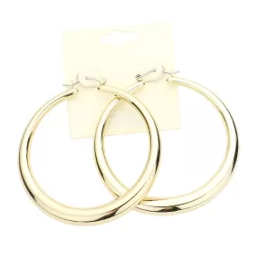 Metal Hoop Pin Catch Earrings