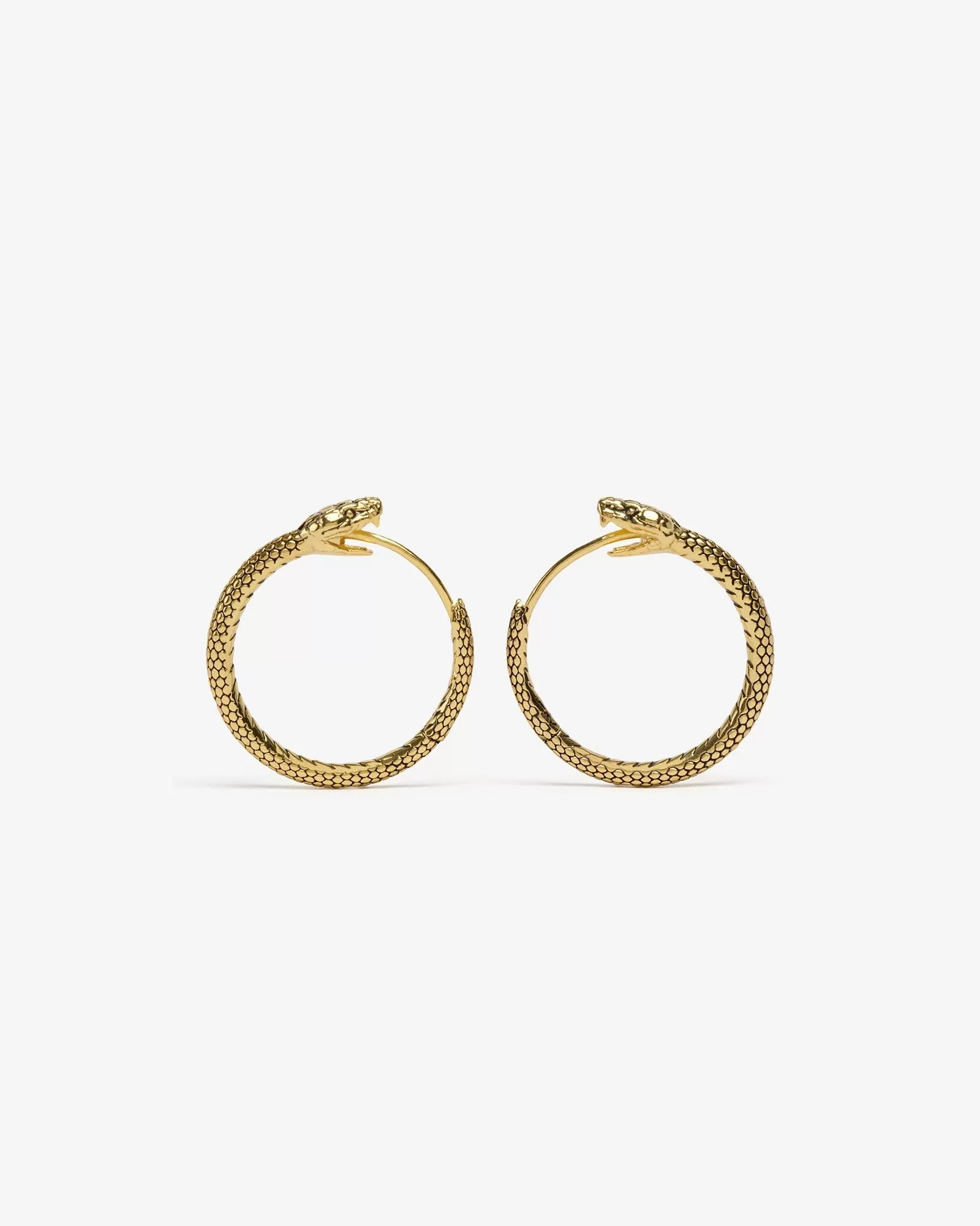 Ouroboros Earrings