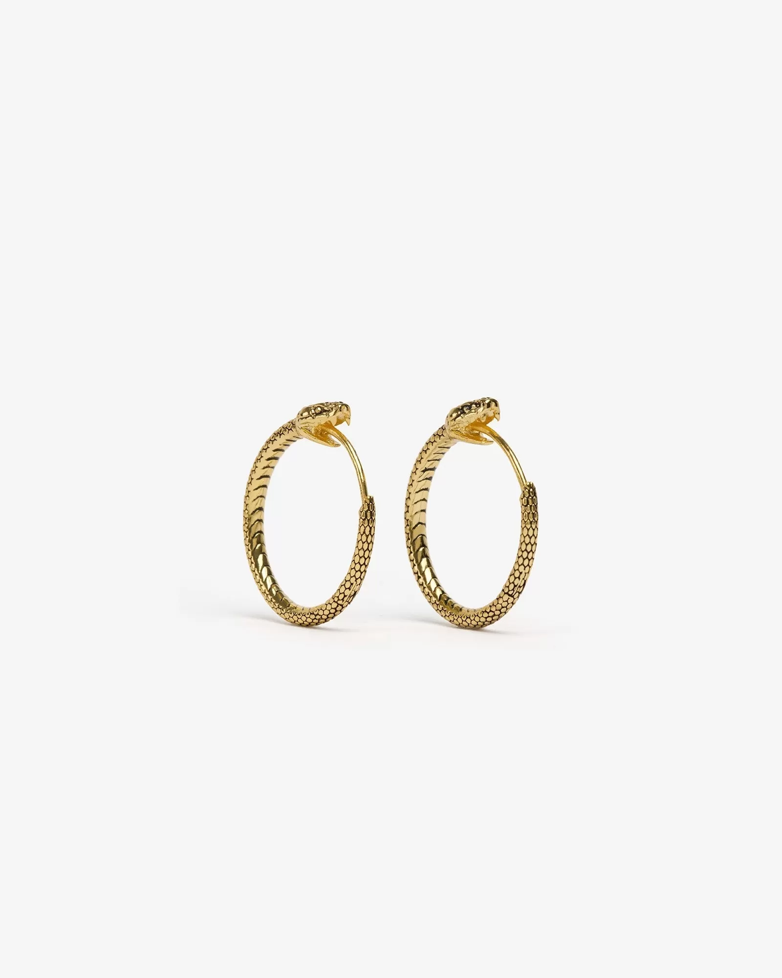 Ouroboros Earrings