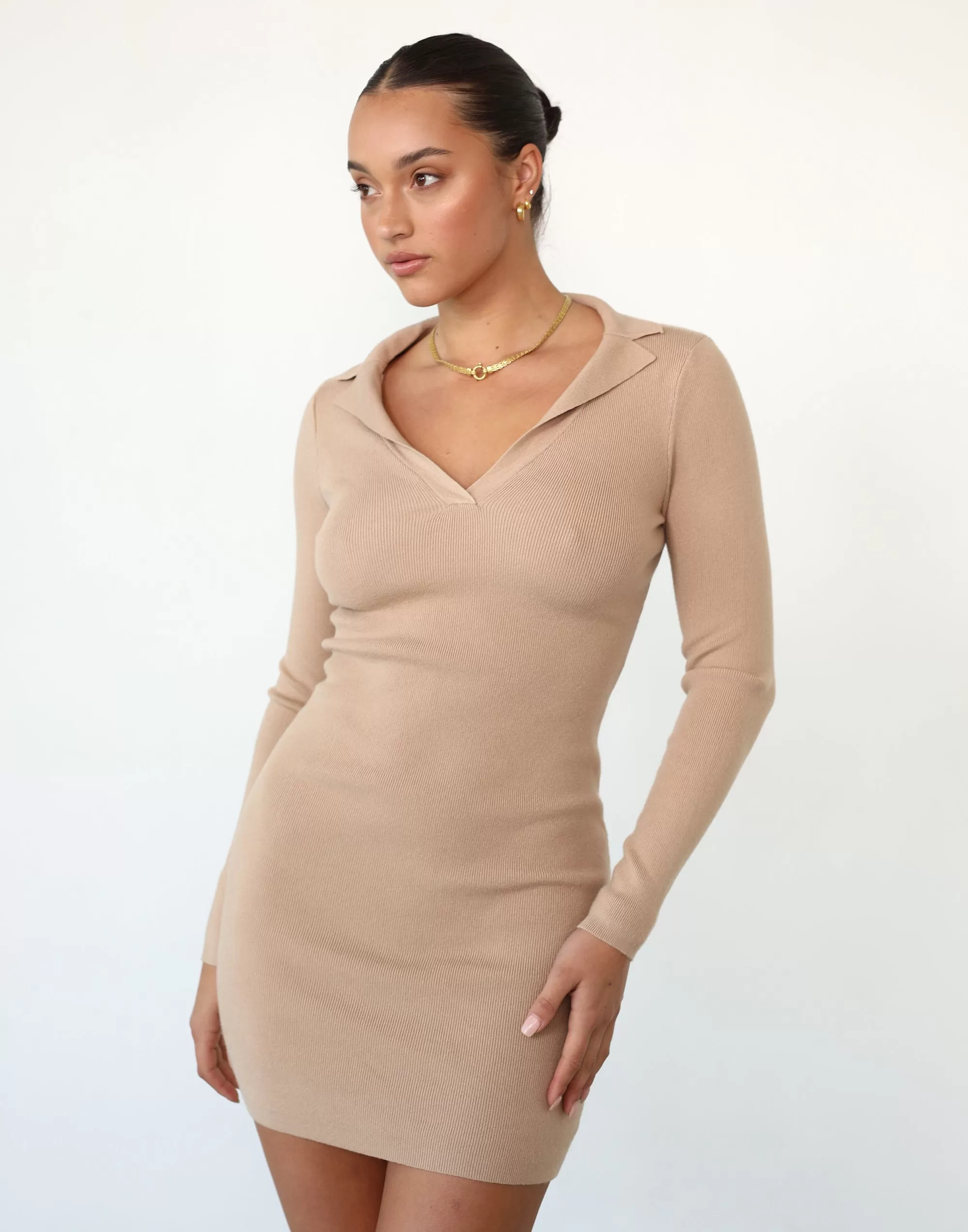 Sara Long Sleeve Mini Dress (Beige)