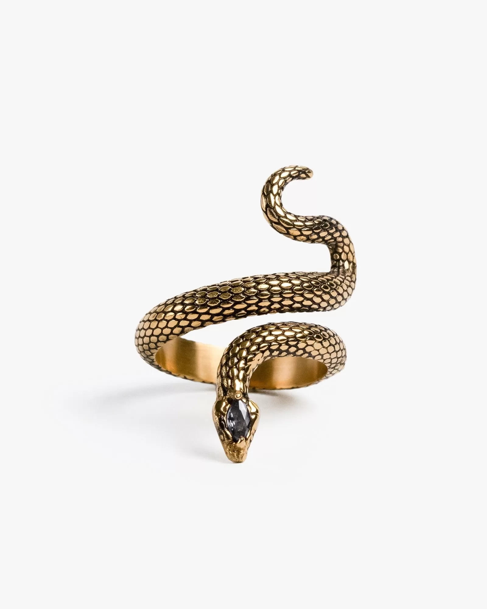 Sorcerer Serpent Ring