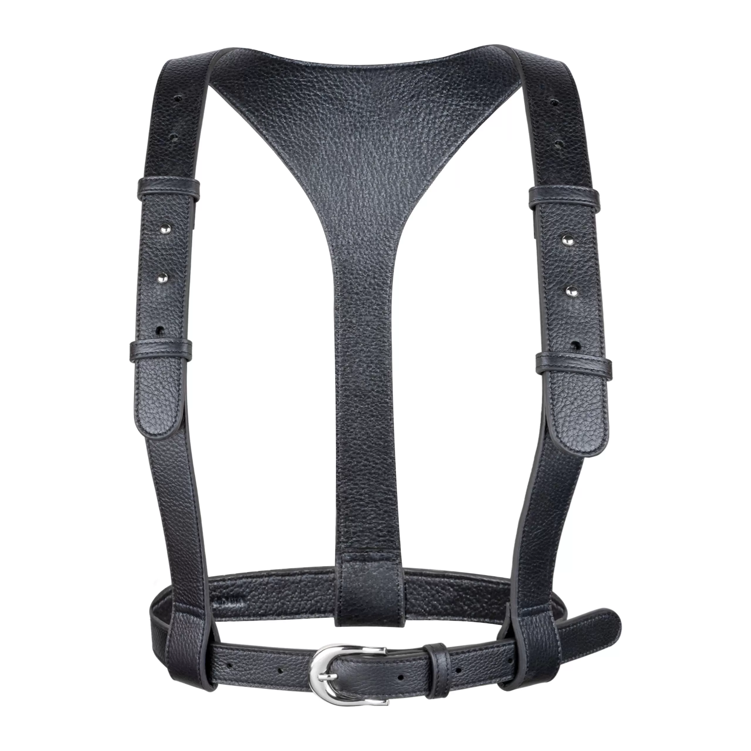 Zheng Harness Set